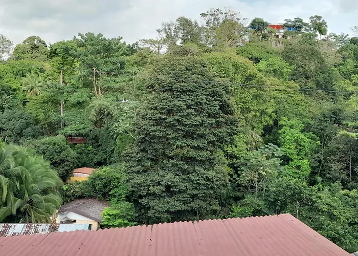 Natural Pacific Suites