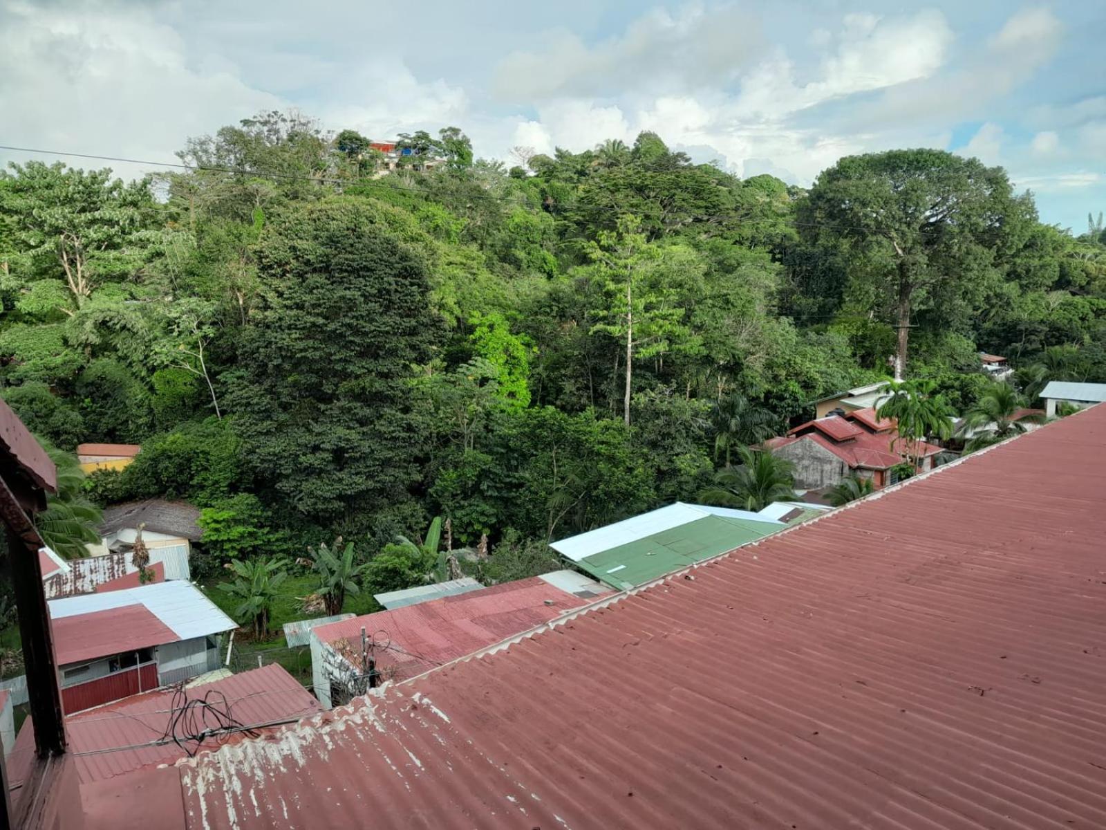 Natural Pacific Apartment *